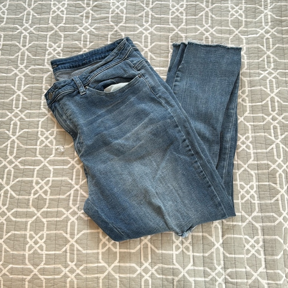 Elliott & Vine embroidered and distressed jeans with raw edge size 16W
